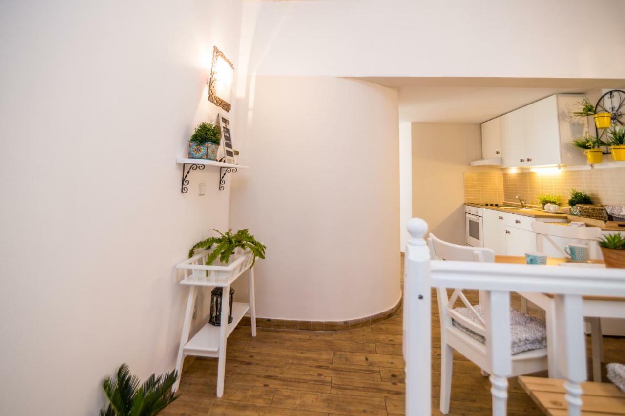 Apartments Terra 비오그라드나모루 외부 사진